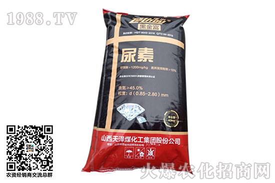 2020��10��13�����؃r��һ�[