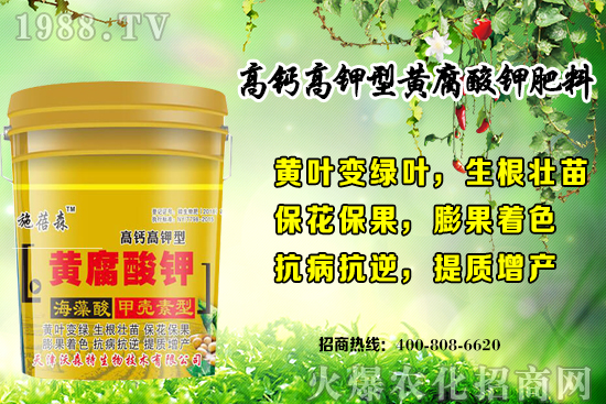 ��ݮ���L(zh��ng)��(du��)�h(hu��n)��Ҫ������Щ���＾��ݮ��ֲע�����(xi��ng)�͹�����ʽ��