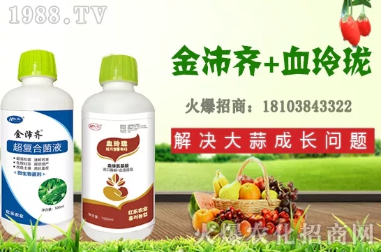     �ļ�ʯ�����L(zh��ng)��(x��)������Щ���ļ�ʯ����ֲ���g(sh��)�������ڹ�����