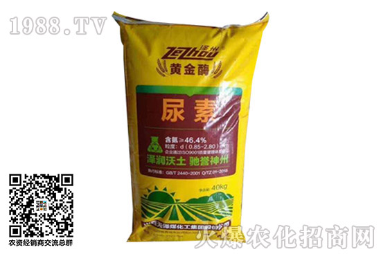 ���؃r(ji��)��