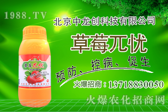 �������m�ϷNֲʲô��ˎ�������@�����׷N��Щ��ˎ�ģ�