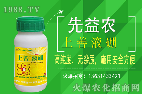 ���˷Nֲ�l������Щ�����˷NֲҪ��ôʩ����