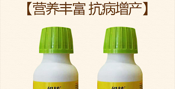 ���ݰ���ͨ�r�I(y��)�Ƽ����޹�˾841200_02