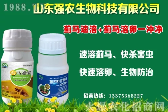 秋冬11月種植什么蔬菜比較合適？蔬菜種植注意事項！