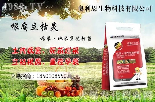 果樹(shù)栽培四大誤區(qū)有哪幾點(diǎn)?如何提高果樹(shù)栽植的成活率?