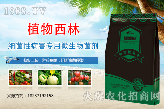 ����̿�Ҳ��Y����ʲô������̿�Ҳ��l(f��)��ԭ�򼰷���