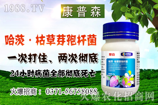 С���r(ji��)��ֹ���ط�(w��n)��С���r(ji��)���ܝq������