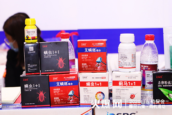 ɽ�|������2020ɽ�|ֲ����(hu��)���W���ǈ�����Ź����