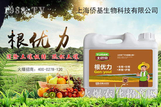 ����������ʲô�����������x������Щ��