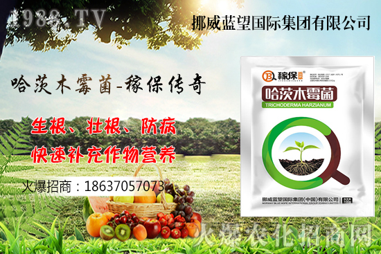 �ի@���С����΃�(ch��)������С����(ch��)���P(gu��n)�I�c(di��n)������