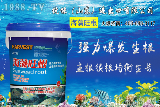 С���r(ji��)��󷶇��ϝq���A(y��)Ӌ(j��)С���r(ji��)��ͻ��1.25Ԫ/��