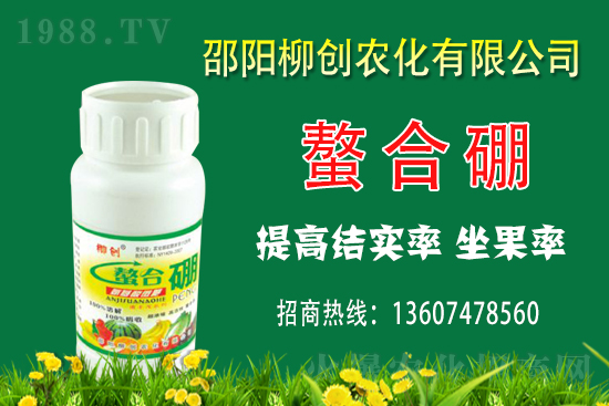 2020��11��16�պ������¼��󶹃r������