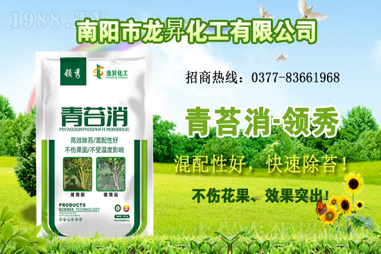 �󶹹�����(y��ng)�����r(ji��)����m(x��)�ϝq�����ش󶹃r(ji��)������