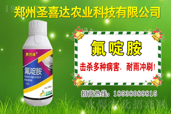 生姜播種方法有哪些?生姜可以和什么作物套種?