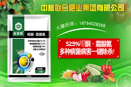 11��19�Շ�(gu��)��(n��i)���֮a(ch��n)�^(q��)�����r(ji��)��