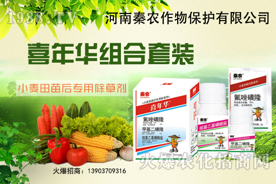 С����ʲôҪ��ǰ�������xʲô���݄�Ч���ã�