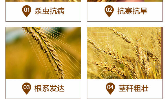 ����������a(ch��n)�ײ�-������-ِ��¶_05