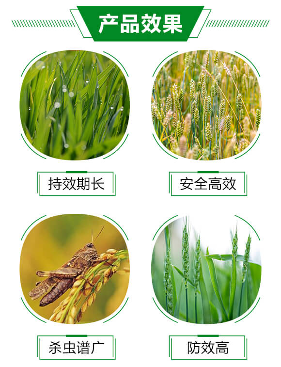 10%�x����-��֮��_03