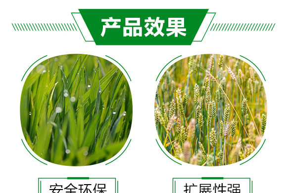 農(nóng)用有機硅助劑-速展(瓶裝)-愛農(nóng)斯達_05