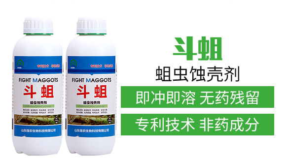 蛆蟲蝕殼劑-斗蛆-強(qiáng)農(nóng)生物_04