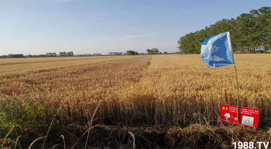 С����ù��Σ�����c������С����ù����ʲôˎ��