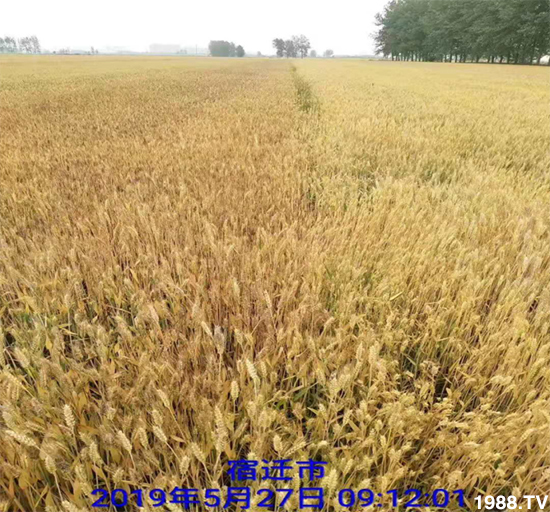 С����ù��Σ�����c������С����ù����ʲôˎ��