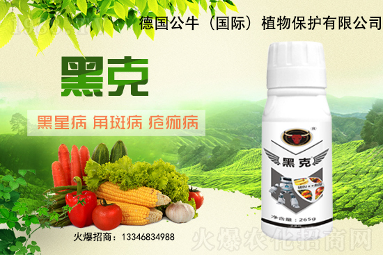 �|��������3Ԫ/�����11��28�մ󶹃r(ji��)������