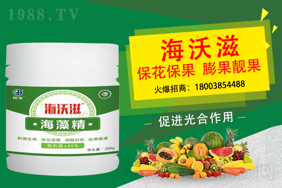 ��ɲ�ݮ��С��ʲô��������ô���M��ݮ�������