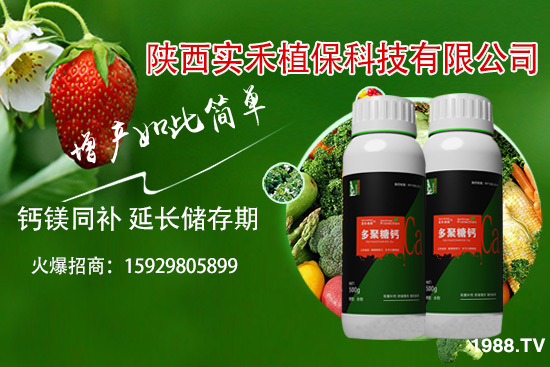 ���t�����~��ʲôԭ�����t�����~���δ�ʩ����Щ��