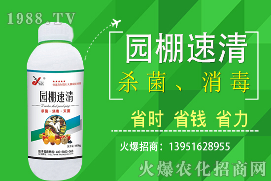 2020��11��5�վֲ������r������