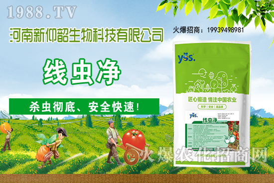 11��6�Շ���(n��i)С���r���ව(w��n)���ֲ�С��������