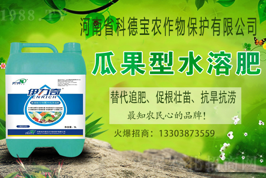 �����M��Ě��ʲô�r(sh��)�����������������x�M��Ě�ȣ�