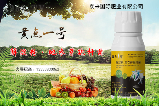 �S���~Ƭ��С�S�c(di��n)����ʲô�������η�������Щ��