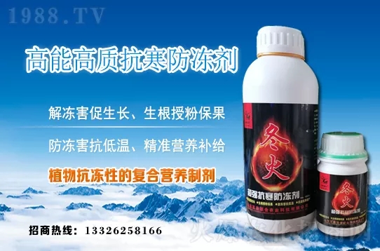 �紺�²����ʩ�����²�ʩ�ʷ�����ע�������