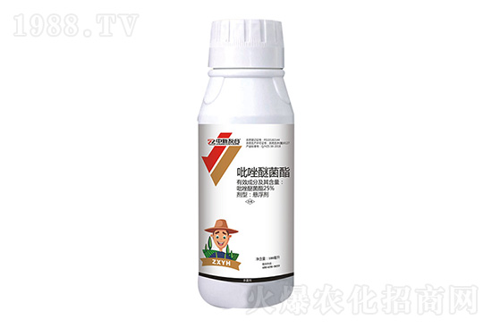 2020.12.17�����`�rˎ�������r���߄�