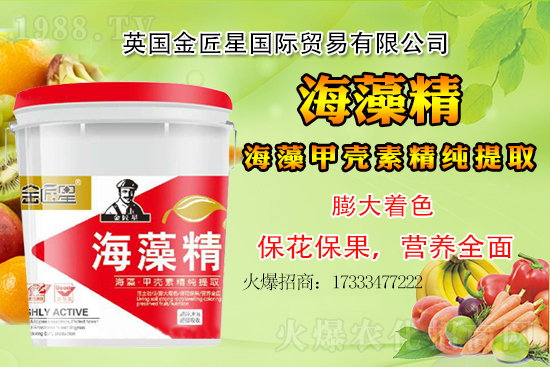 С���r��߀�����F(xi��n)��q����С�����鿂�Y��