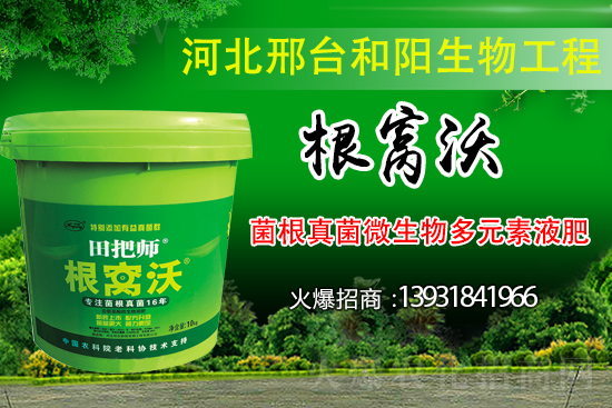 哪些病害屬于土傳病害?采取什么措施可以防治?