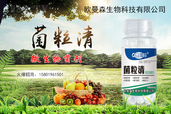 低溫辣椒“灰霉病”易發(fā)生,如何識別與防治辣椒灰霉病