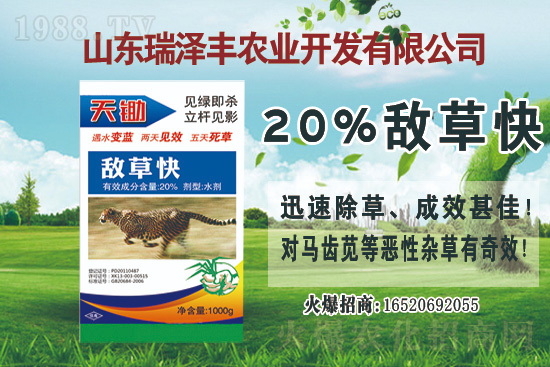 2020.12.21���ݿ���݄��r(ji��)���߄�(sh��)