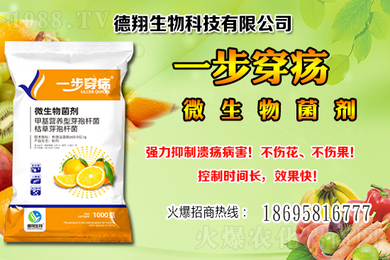 國產(chǎn)大豆價(jià)格穩(wěn)中有跌!2020-12-21黑龍江及部分地區(qū)大豆行情!