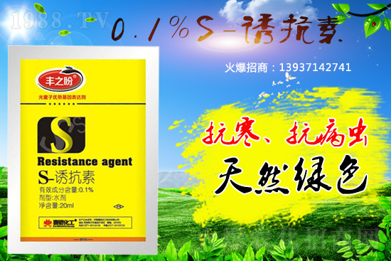 �P(gu��n)��ֲ���{(di��o)����S-�T���������˽������