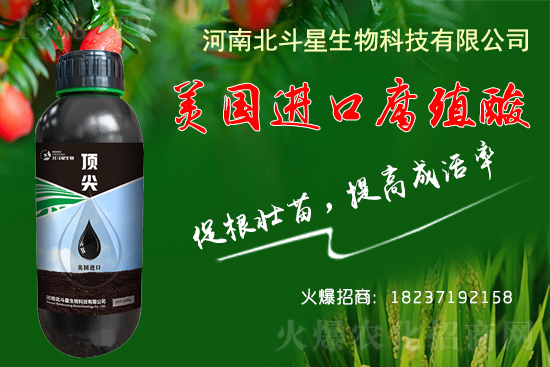 �ؗ͜l���£�����Nֲ��������������B(y��ng)�����o(h��)��