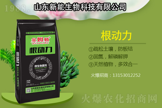 �������������ԭ�����ģ���Q����������ʩ��ô����