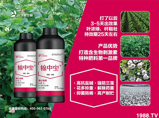 �طN�ʞ�ʲô�@ô������ʲô���c֮̎��