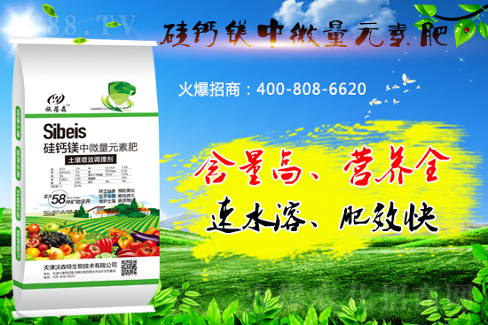 ���}�VԪ�ط����˽��������̎����Щ��