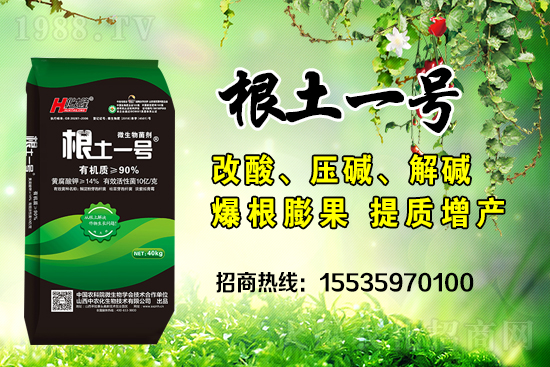     ΢��������е�΢������ʲô������΢�����������θ�����������