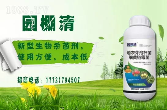 �������⛶�����Ч���Æ������������������ֲ�￹�������ģ�