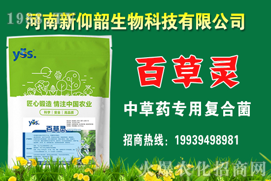 ����С���r��߀���q�᣿2020��12��С���r�����������