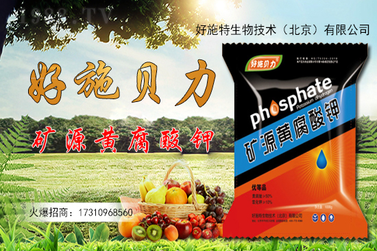 �󽪶����Xһ�����󽪷Nֲǰ������������Nֲ���g(sh��)��