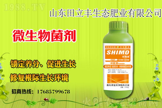 ���{��ԓ��ηNֲ�����{���Nֲǰ����Ч����ô����